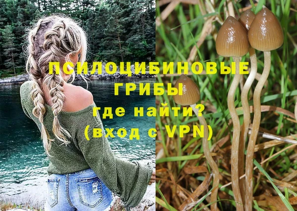 дмт Покров