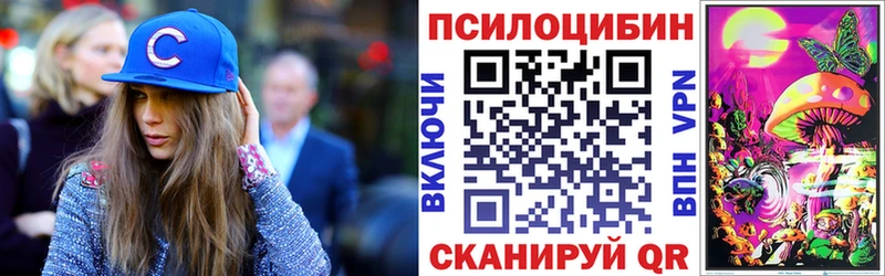 Галлюциногенные грибы Psilocybe  даркнет сайт  Сланцы 