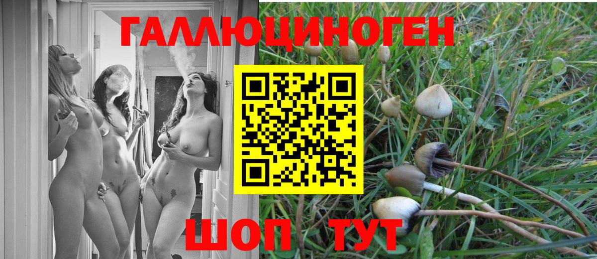 Псилоцибиновые грибы прущие грибы Сланцы